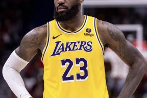 爱游戏体育-关于詹姆斯关键节点挺进下一轮，瑞士队带队取胜！的信息